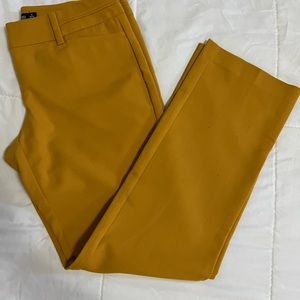 New york s company pants